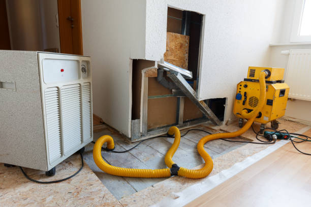 Mold Removal for HVAC Installations in Lindsborg, KS